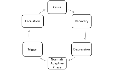 Anger_Cycle.png