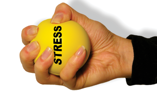 Stress Management 2026/27
